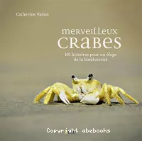 Merveilleux crabes