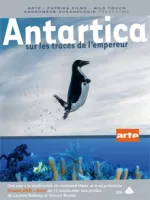Antarctica, sur les traces de l'empereur
