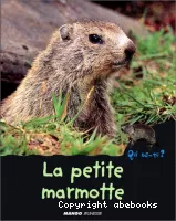La Petite marmotte