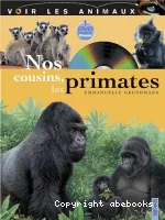 Nos cousins, les primates